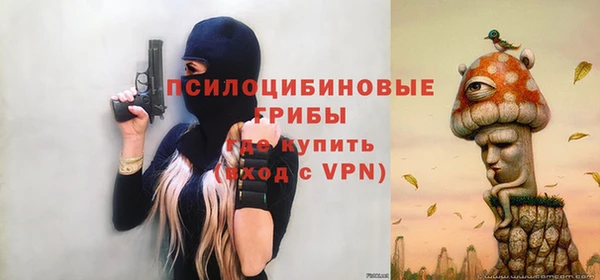 apvp Семикаракорск