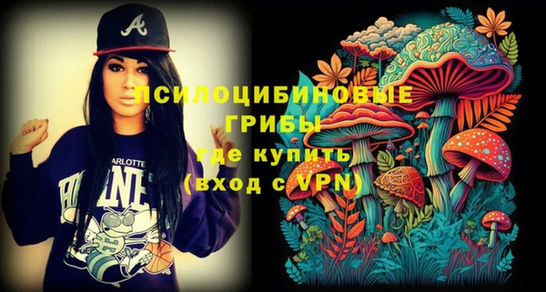 apvp Семикаракорск