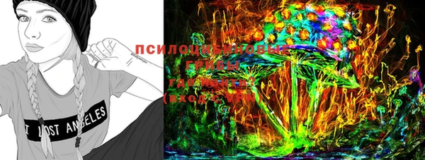 apvp Семикаракорск